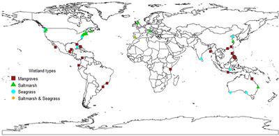 Indicators of Coastal Wetlands Restoration Success: A Systematic Review